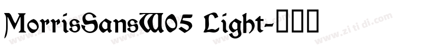 MorrisSansW05 Light字体转换